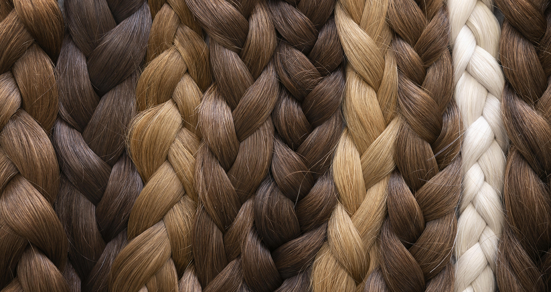 Senkrecht aneinander liegende Haarbündel in verschiedenen Farbtiefen: braun, dunkelblond, Mittelblond, hellblond und weiß.