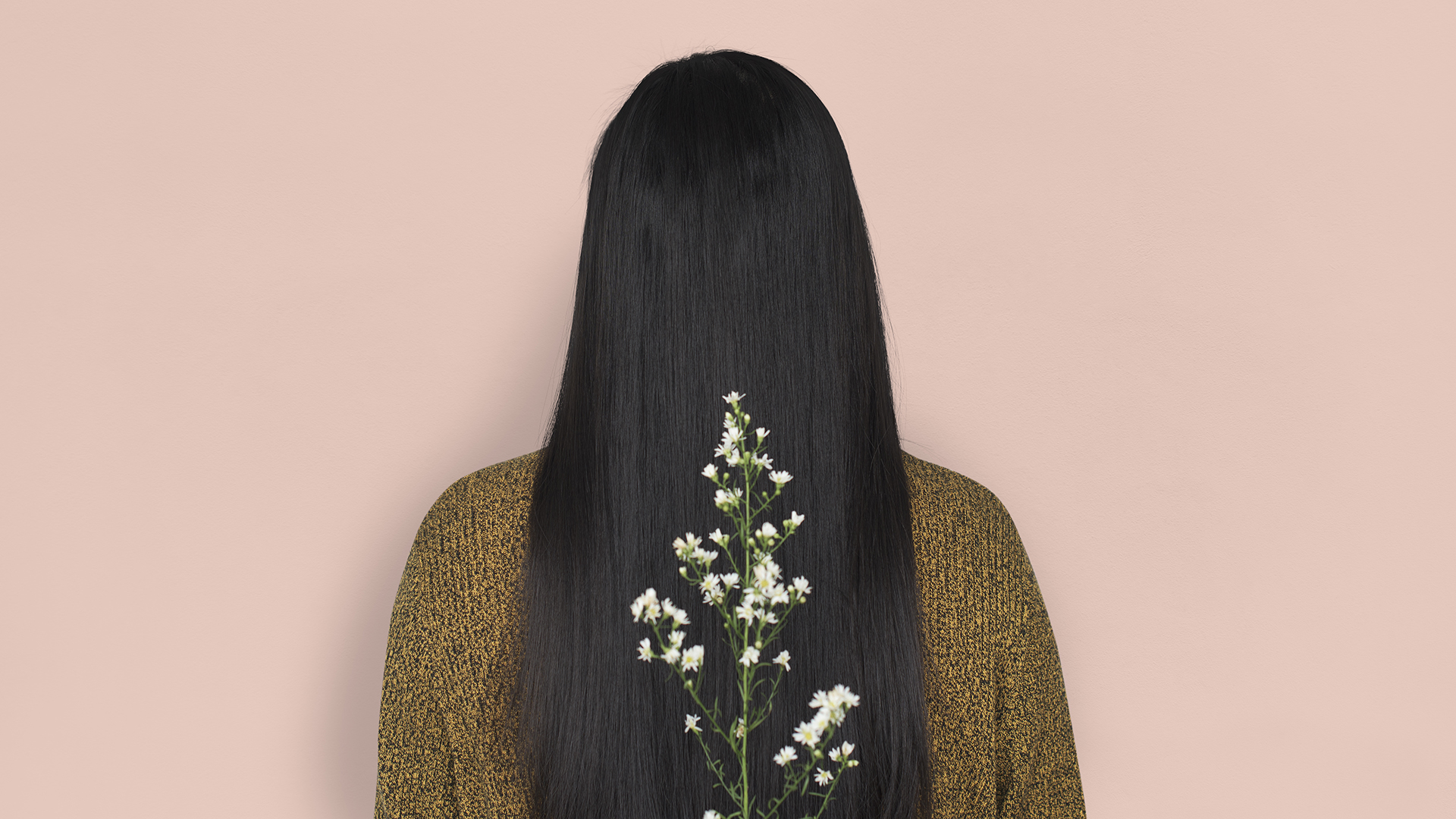 A female person, seen from behind, against a powder colored background, with black hair. In the center foreground a branch of baby's breath.