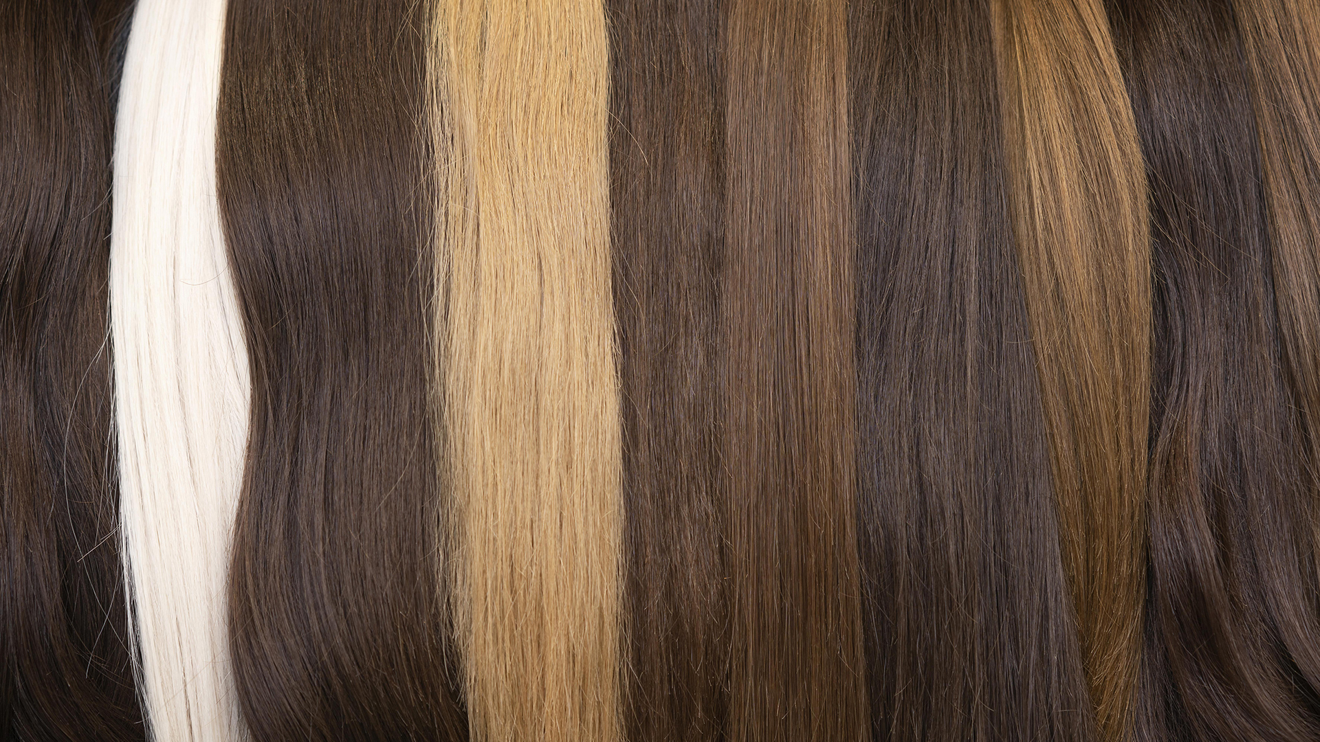 Senkrecht aneinander liegende Haarbündel in verschiedenen Farbtiefen: braun, dunkelblond, Mittelblond, hellblond und weiß.